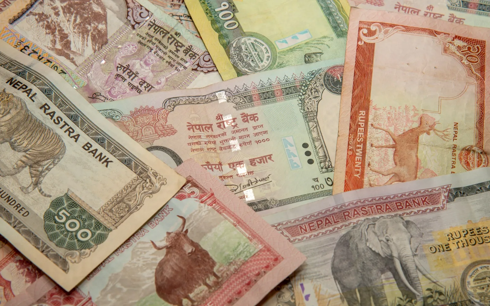 Micro-finance